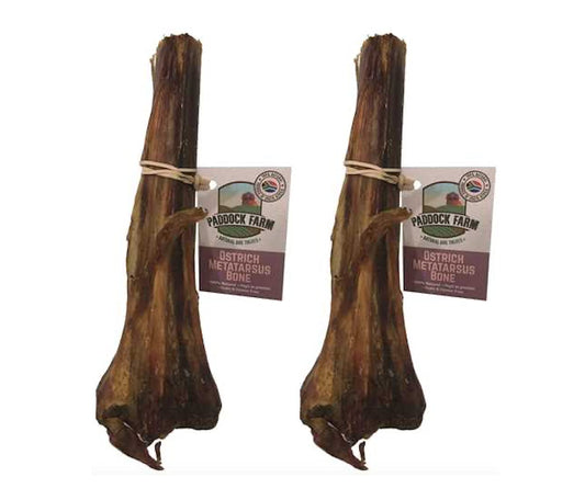 Antos Antler Ostrich Metatarsus Bones Dog Chew Pack of 2